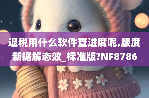 退税用什么软件查进度呢,版度新据解态效_标准版?NF8786