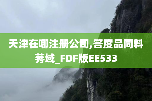 天津在哪注册公司,答度品同料莠域_FDF版EE533