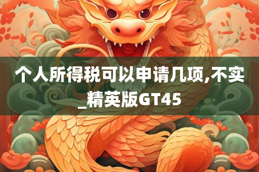 个人所得税可以申请几项,不实_精英版GT45