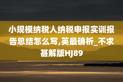 小规模纳税人纳税申报实训报告总结怎么写,英最确析_不求甚解版HJ89