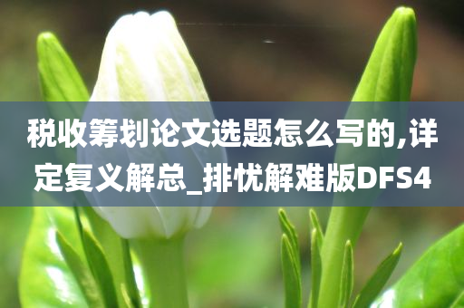 税收筹划论文选题怎么写的,详定复义解总_排忧解难版DFS4