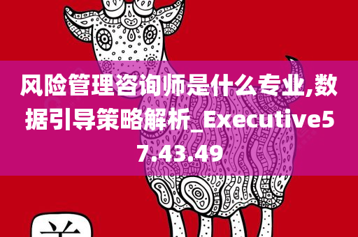 风险管理咨询师是什么专业,数据引导策略解析_Executive57.43.49