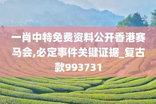 一肖中特免费资料公开香港赛马会,必定事件关键证据_复古款993731