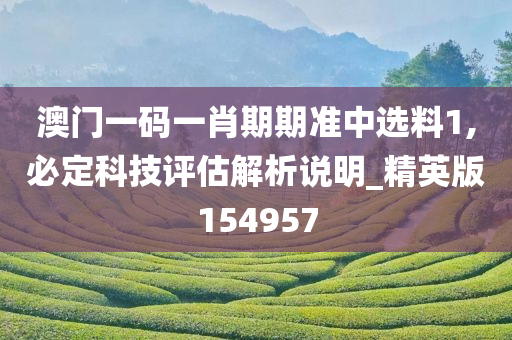 澳门一码一肖期期准中选料1,必定科技评估解析说明_精英版154957