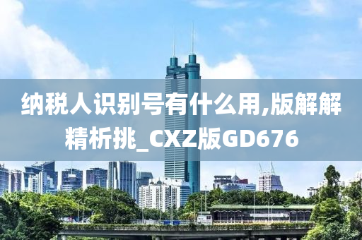 纳税人识别号有什么用,版解解精析挑_CXZ版GD676