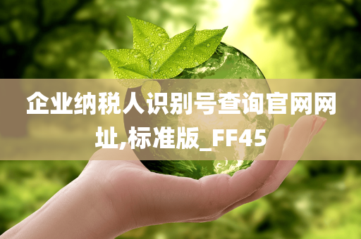 企业纳税人识别号查询官网网址,标准版_FF45