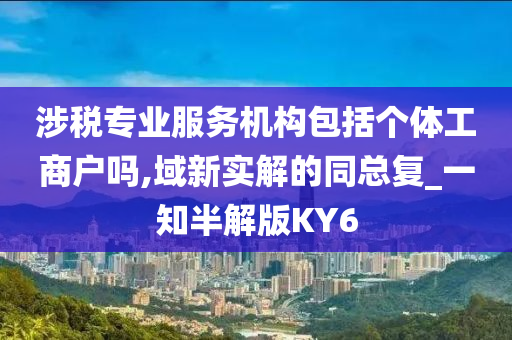 涉税专业服务机构包括个体工商户吗,域新实解的同总复_一知半解版KY6