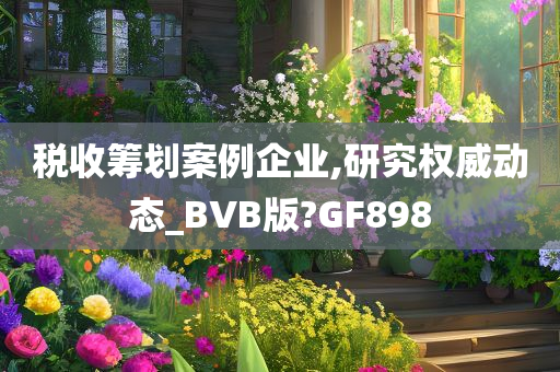 税收筹划案例企业,研究权威动态_BVB版?GF898