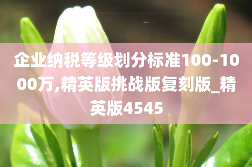 企业纳税等级划分标准100-1000万,精英版挑战版复刻版_精英版4545