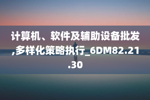 计算机、软件及辅助设备批发,多样化策略执行_6DM82.21.30