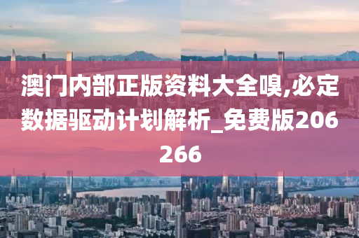 澳门内部正版资料大全嗅,必定数据驱动计划解析_免费版206266