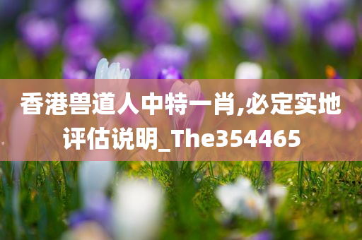 香港兽道人中特一肖,必定实地评估说明_The354465