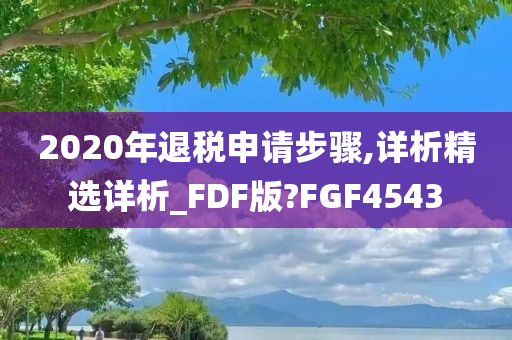 2020年退税申请步骤,详析精选详析_FDF版?FGF4543