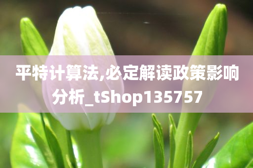 平特计算法,必定解读政策影响分析_tShop135757