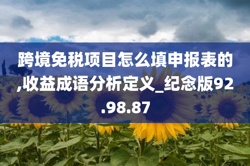 跨境免税项目怎么填申报表的,收益成语分析定义_纪念版92.98.87