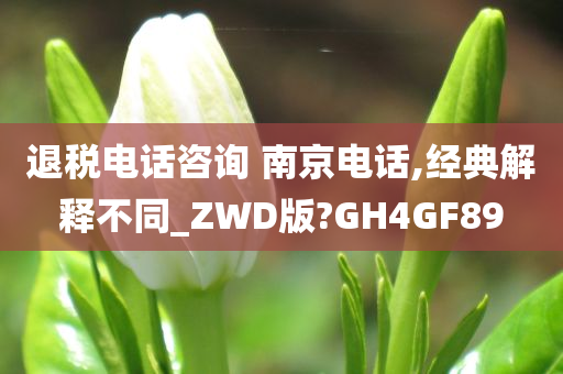 退税电话咨询 南京电话,经典解释不同_ZWD版?GH4GF89