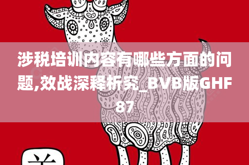 涉税培训内容有哪些方面的问题,效战深释析究_BVB版GHF87