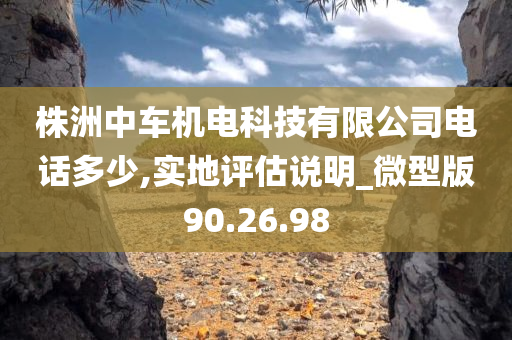 株洲中车机电科技有限公司电话多少,实地评估说明_微型版90.26.98