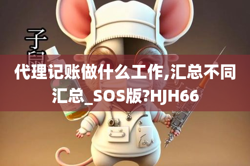 代理记账做什么工作,汇总不同汇总_SOS版?HJH66