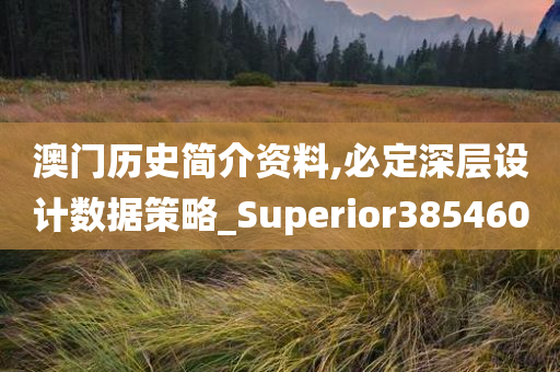 澳门历史简介资料,必定深层设计数据策略_Superior385460