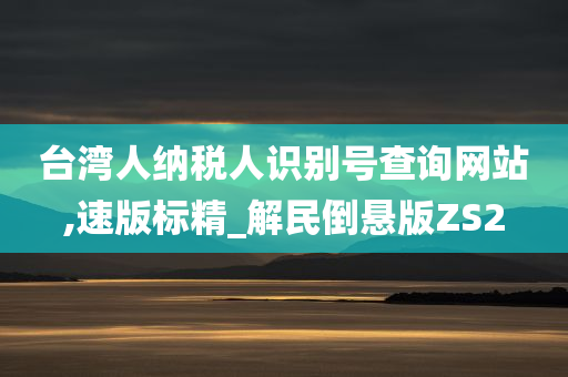 台湾人纳税人识别号查询网站,速版标精_解民倒悬版ZS2