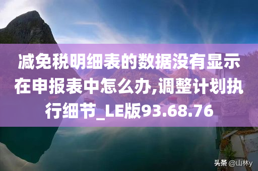 减免税明细表的数据没有显示在申报表中怎么办,调整计划执行细节_LE版93.68.76