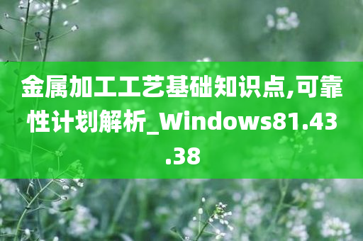 金属加工工艺基础知识点,可靠性计划解析_Windows81.43.38