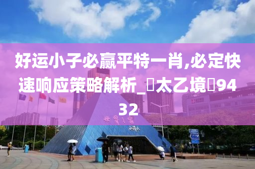 好运小子必赢平特一肖,必定快速响应策略解析_‌太乙境‌9432