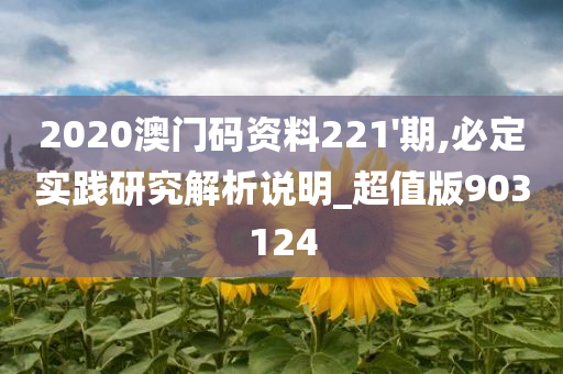 2020澳门码资料221'期,必定实践研究解析说明_超值版903124