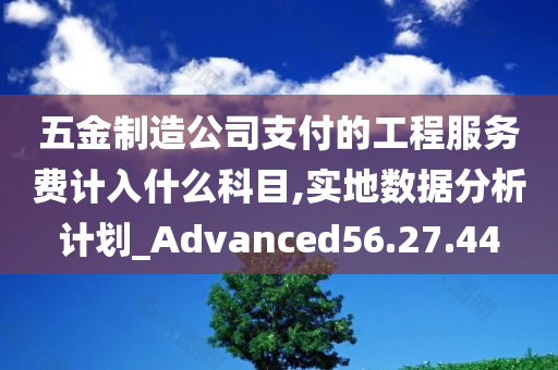 五金制造公司支付的工程服务费计入什么科目,实地数据分析计划_Advanced56.27.44