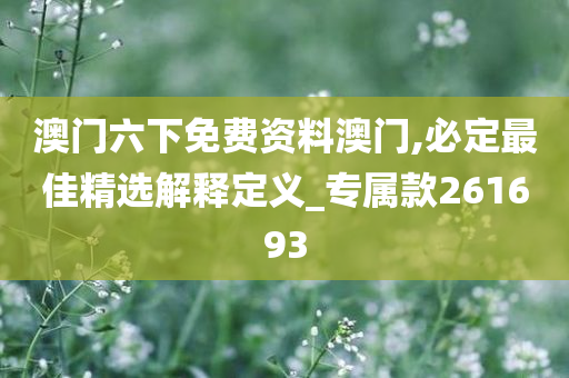 澳门六下免费资料澳门,必定最佳精选解释定义_专属款261693