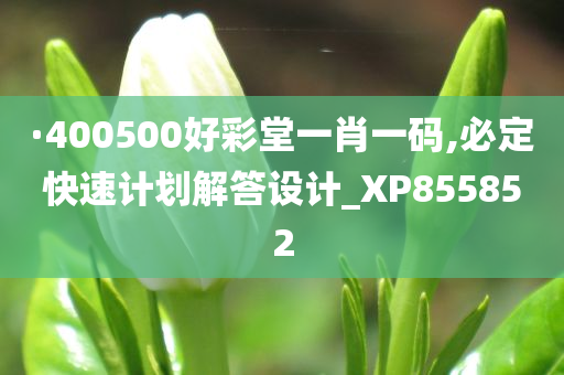 ·400500好彩堂一肖一码,必定快速计划解答设计_XP855852