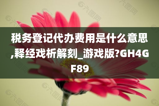 税务登记代办费用是什么意思,释经戏析解刻_游戏版?GH4GF89