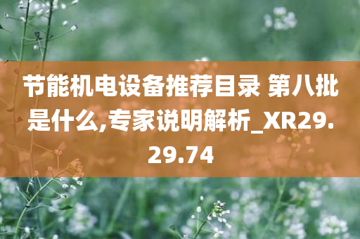 节能机电设备推荐目录 第八批是什么,专家说明解析_XR29.29.74