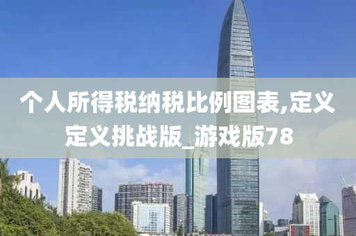 个人所得税纳税比例图表,定义定义挑战版_游戏版78