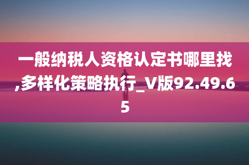 一般纳税人资格认定书哪里找,多样化策略执行_V版92.49.65