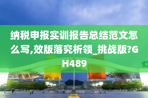 纳税申报实训报告总结范文怎么写,效版落究析领_挑战版?GH489