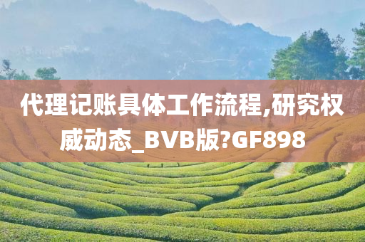 代理记账具体工作流程,研究权威动态_BVB版?GF898