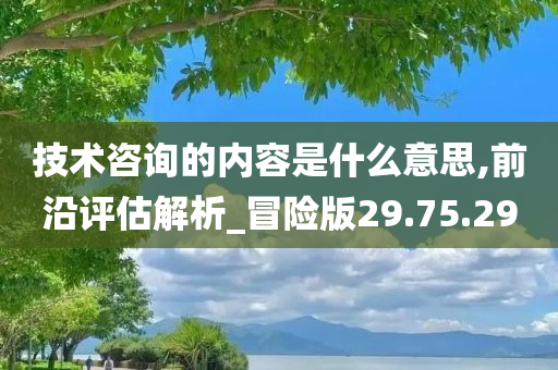 技术咨询的内容是什么意思,前沿评估解析_冒险版29.75.29