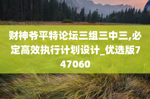 财神爷平特论坛三组三中三,必定高效执行计划设计_优选版747060