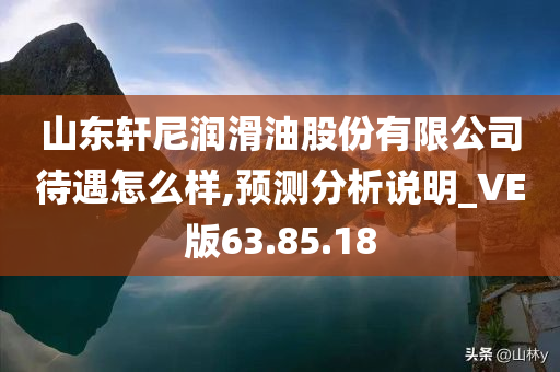 山东轩尼润滑油股份有限公司待遇怎么样,预测分析说明_VE版63.85.18