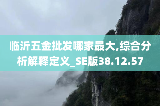 临沂五金批发哪家最大,综合分析解释定义_SE版38.12.57