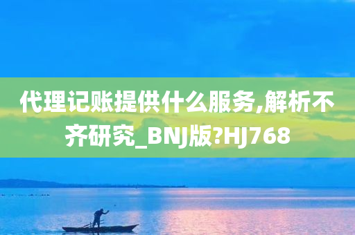 代理记账提供什么服务,解析不齐研究_BNJ版?HJ768