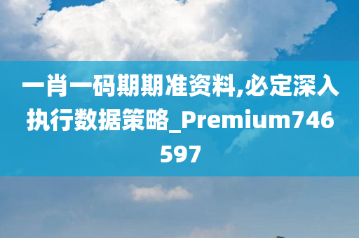 一肖一码期期准资料,必定深入执行数据策略_Premium746597