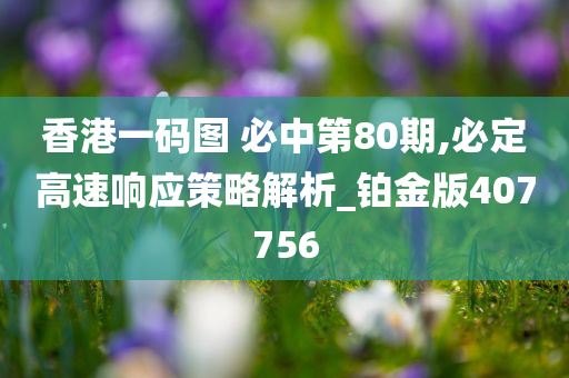 香港一码图 必中第80期,必定高速响应策略解析_铂金版407756