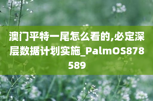 澳门平特一尾怎么看的,必定深层数据计划实施_PalmOS878589