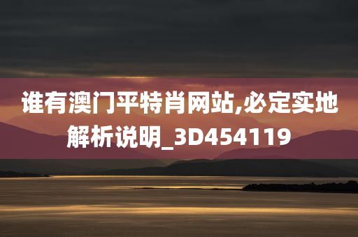 谁有澳门平特肖网站,必定实地解析说明_3D454119