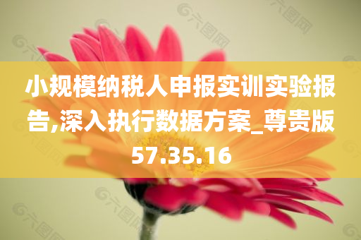 小规模纳税人申报实训实验报告,深入执行数据方案_尊贵版57.35.16