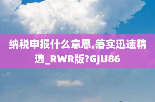 纳税申报什么意思,落实迅速精选_RWR版?GJU86