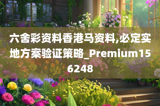 六舍彩资料香港马资料,必定实地方案验证策略_Premium156248